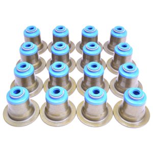 GSC Power-Division Valve Stem Seals | 2008-2015 Mitsubishi Evo X (1010)